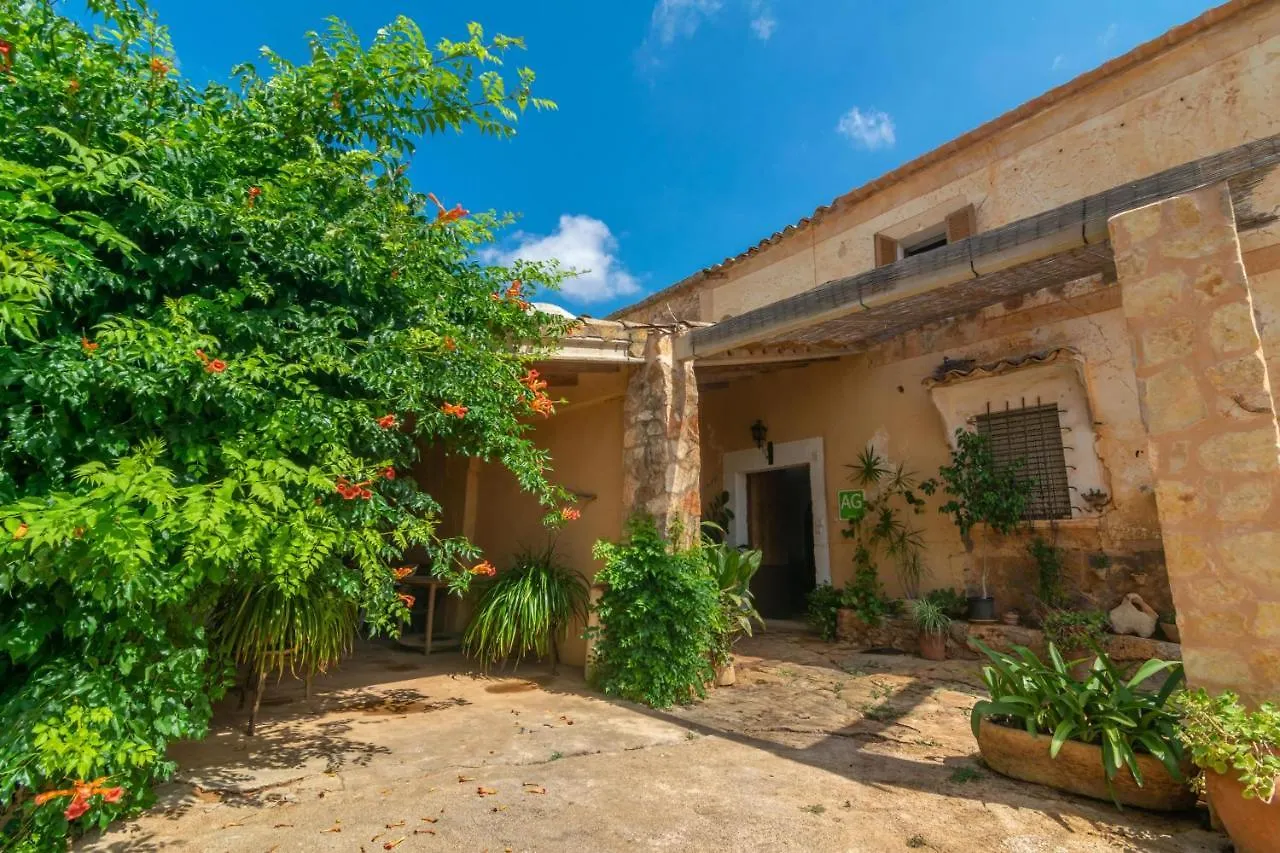 Son Mayol 2 Felanitx Apartment